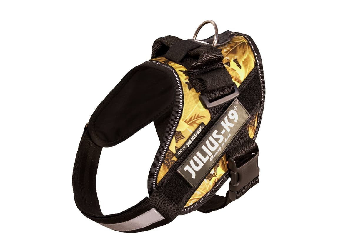 Julius-K9, 16IDC-AM-M, IDC Powerharness, dog harness, Size: Mini, Aquamarine — view 168