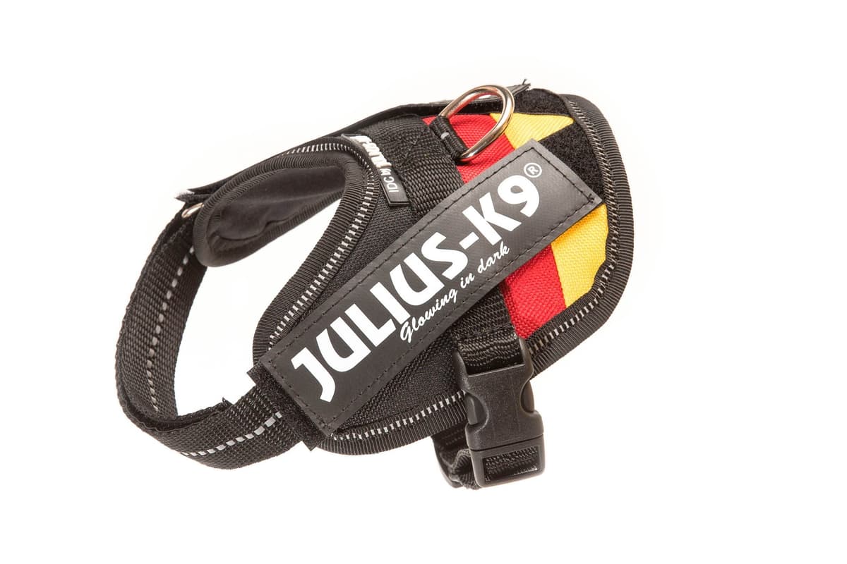 Julius-K9, 16IDC-AM-M, IDC Powerharness, dog harness, Size: Mini, Aquamarine — view 359