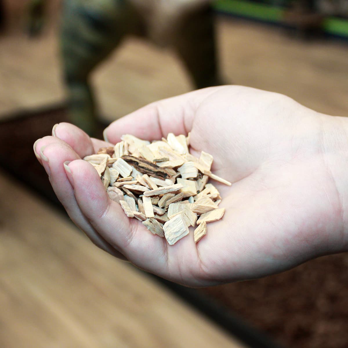 Komodo Coarse Beech Chips Substrate for Reptile Cage Vivarium Habitat Premium Natural Non Toxic Durable Long Lasting Moisture Control Bedding - 6L — view 5