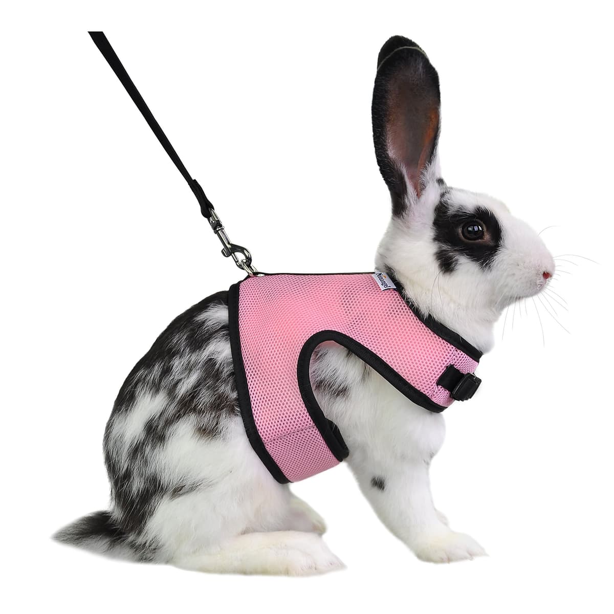 Niteangel® Adjustable Soft Harness with Elastic Leash for Rabbits (XL, Pink)