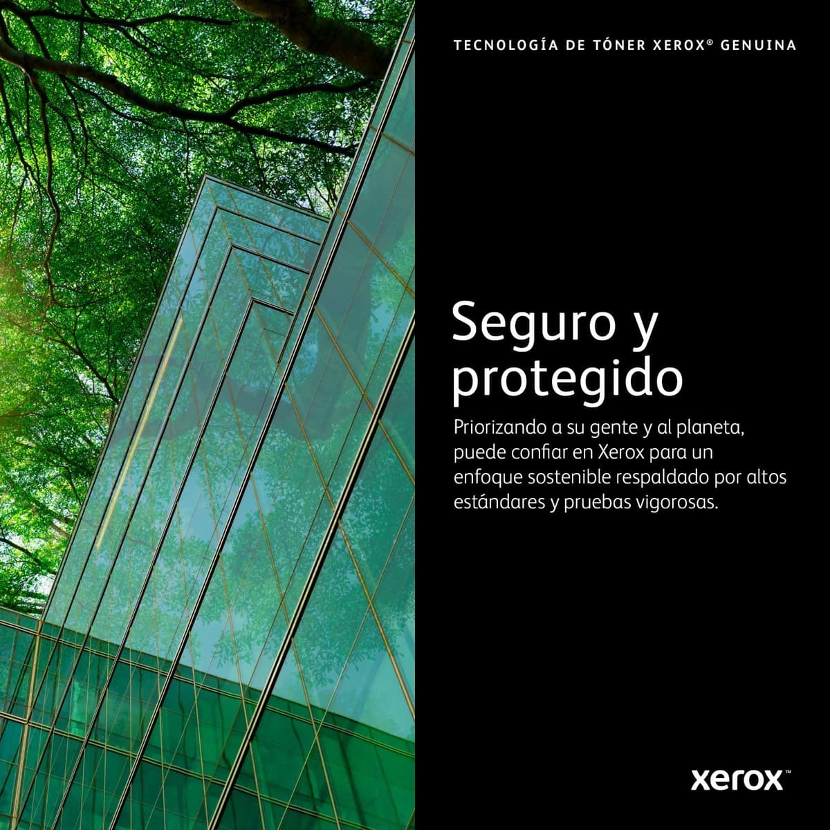 Xerox Original C310 / C315 Cian Cartucho de Tóner Estándar Capacidad (2,000 Páginas) - 006R04357 — view 4