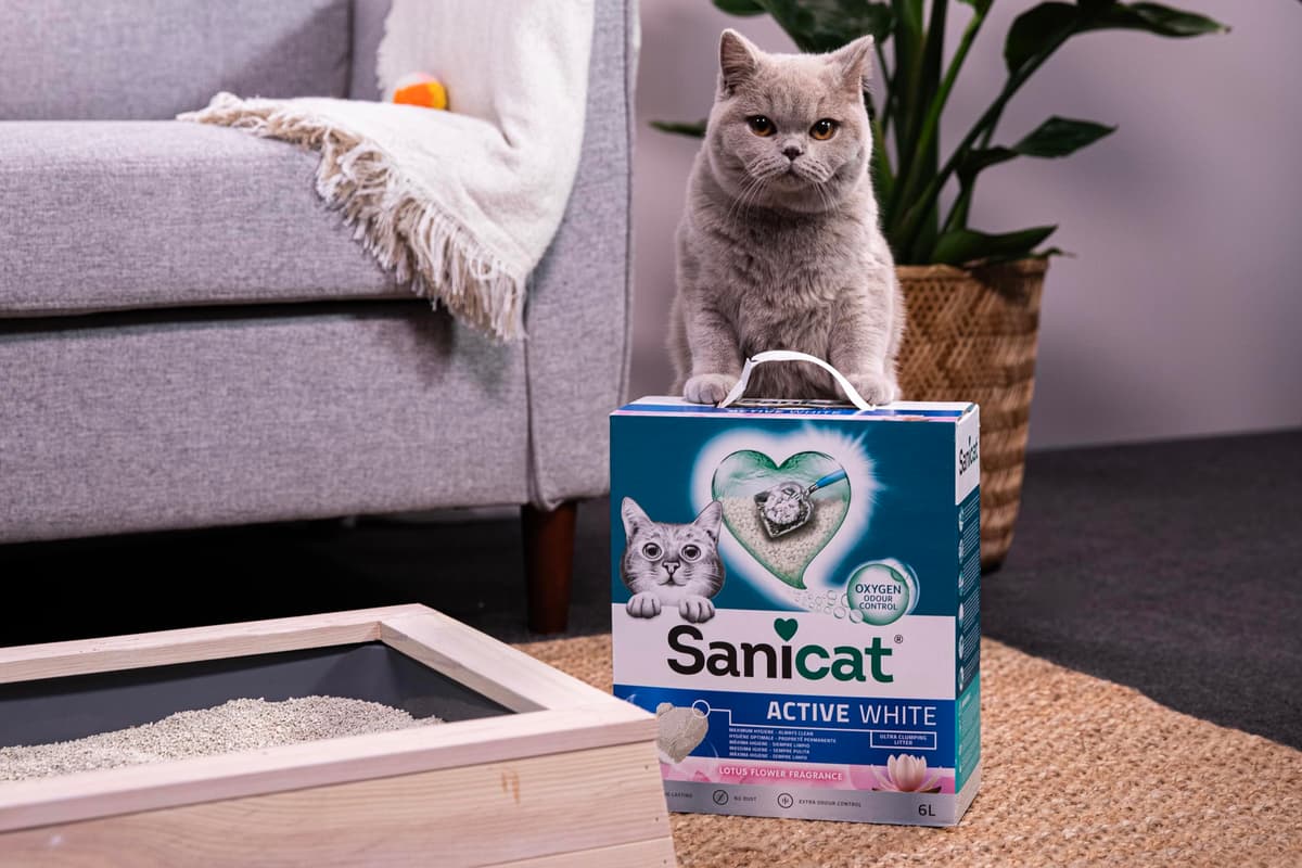 Sanicat - Arena Aglomerante Active White con Flor de Loto, Hecha de minerales naturales con control de olor garantizado, Absorbe la humedad y facilita la limpieza, 6 L de capacidad — view 9