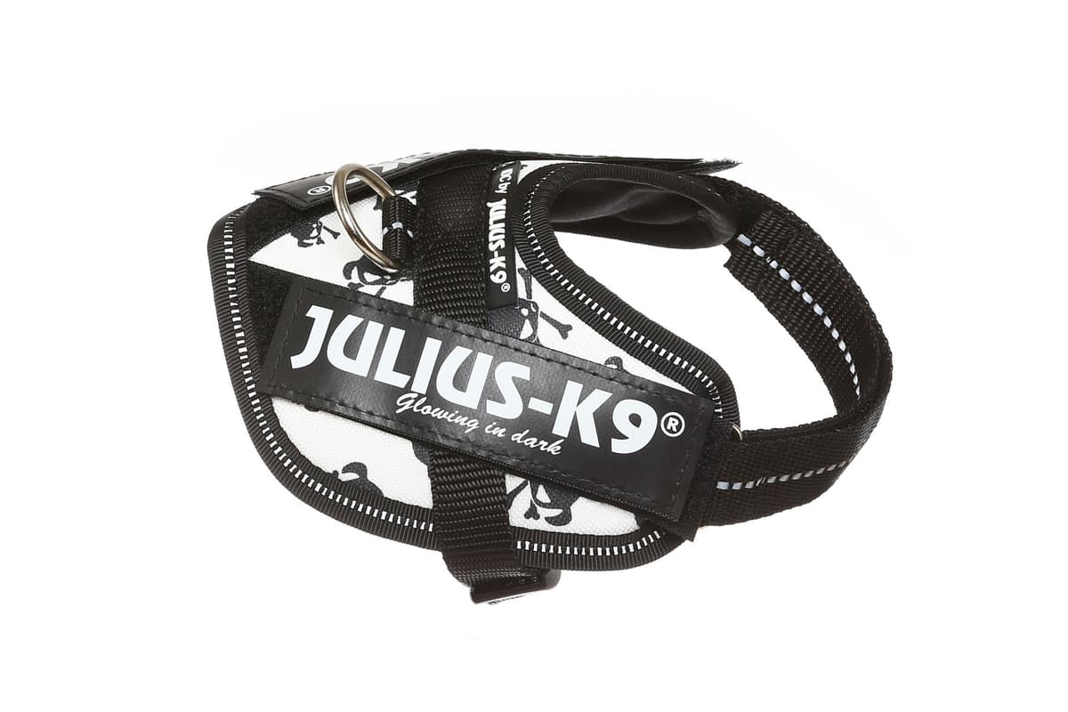 Julius-K9, 16IDC-AM-M, IDC Powerharness, dog harness, Size: Mini, Aquamarine — view 439