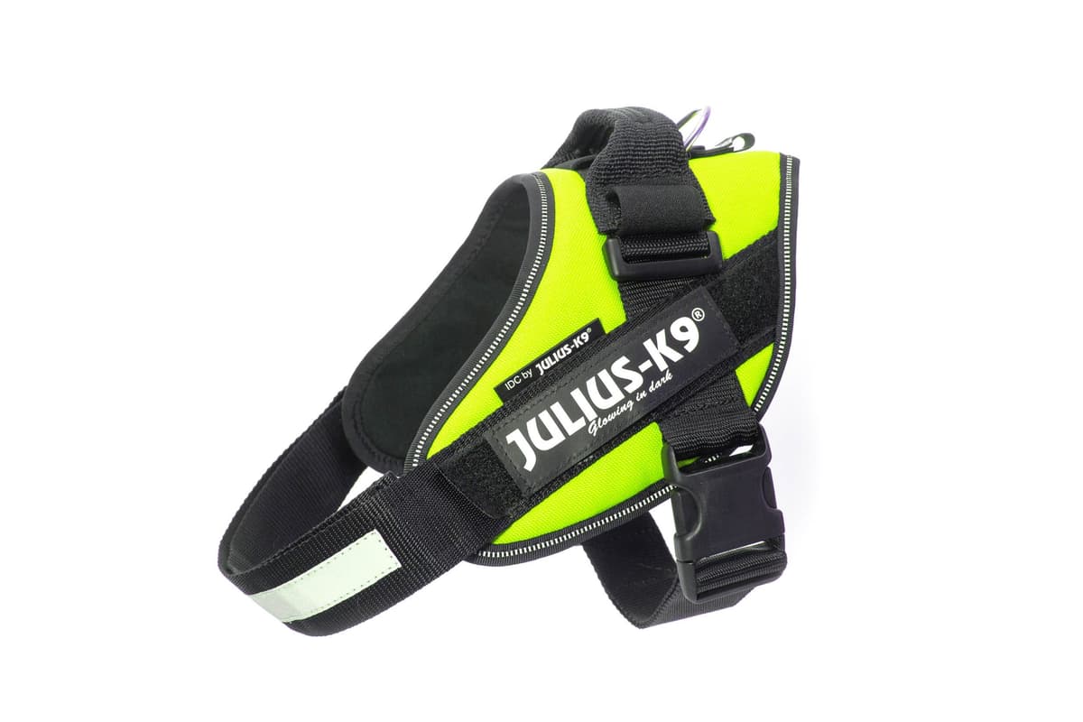 Julius-K9, 16IDC-AM-M, IDC Powerharness, dog harness, Size: Mini, Aquamarine — view 244