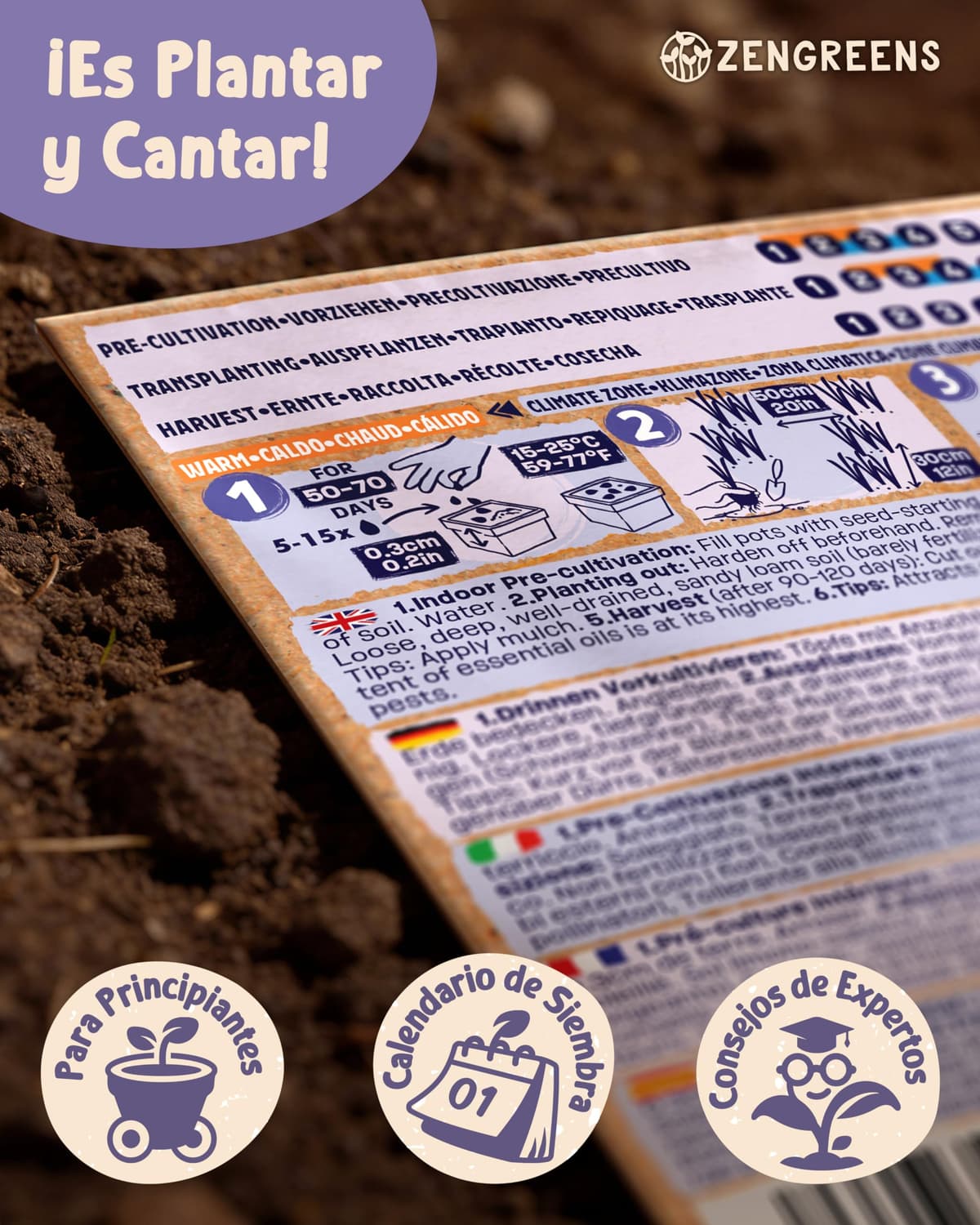 ZenGreens® - Set de semillas de hierbas medicinales y para infusiones eco - 10 variedades para cultivar fácilmente en el jardín, balcón o parterre elevado - Sementes verduras — view 8