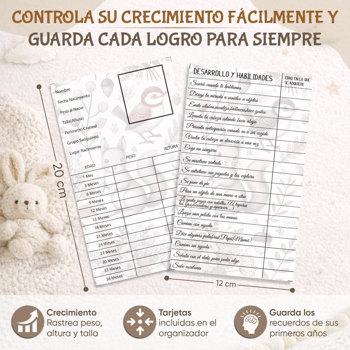 Portadocumentos Bebé para Cartilla Sanitaria con Tarjetas de Crecimiento y Primeros Logros, Carpeta y Porta Documentos Bebé, Funda Libro de Salud, Regalo para Baby Showers — view 5