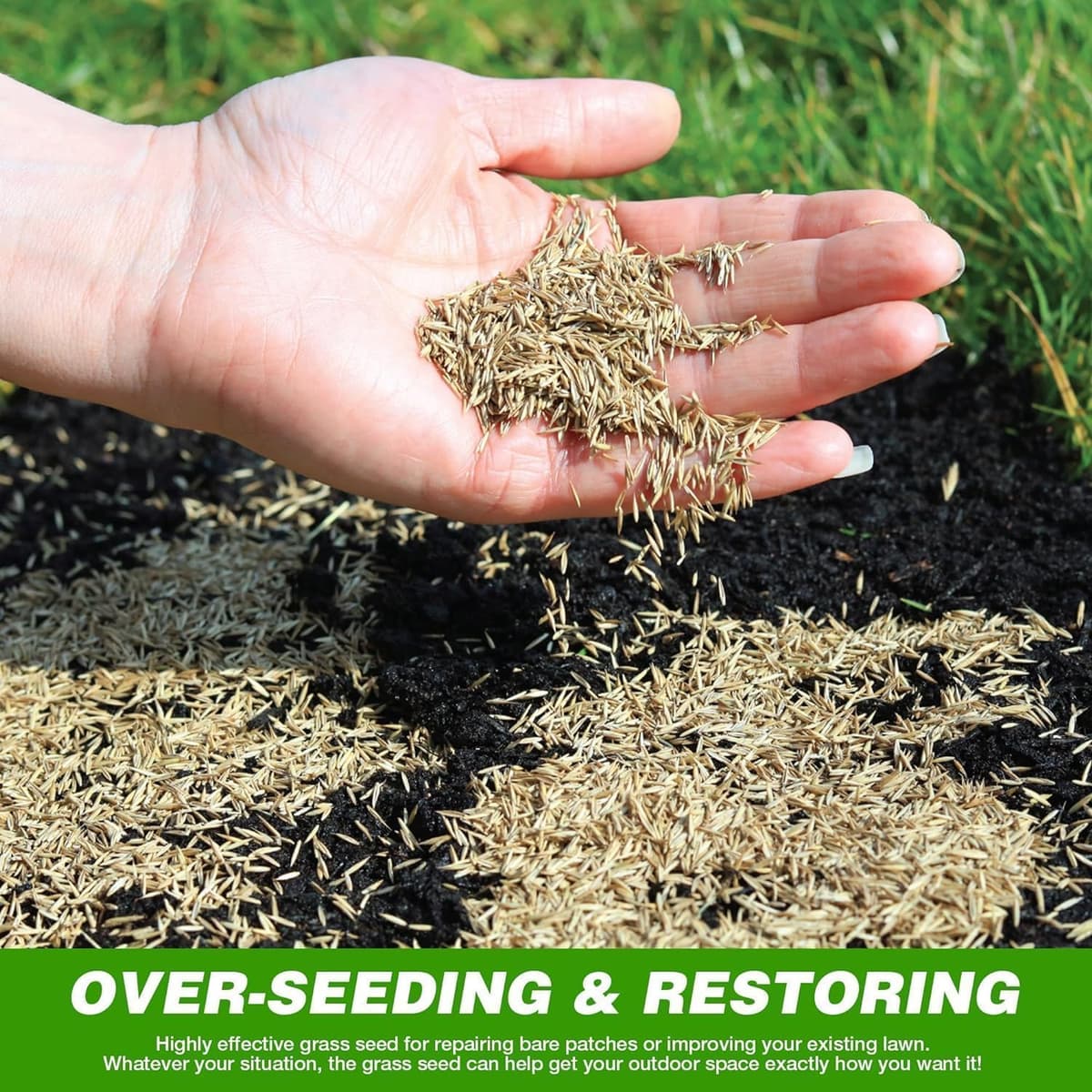GroundMaster Premium Lawn Grass Seed – 1KG Hard Wearing & Fast Germination Grass Seeds for Family Lawns and Gardens, Coverage — view 5