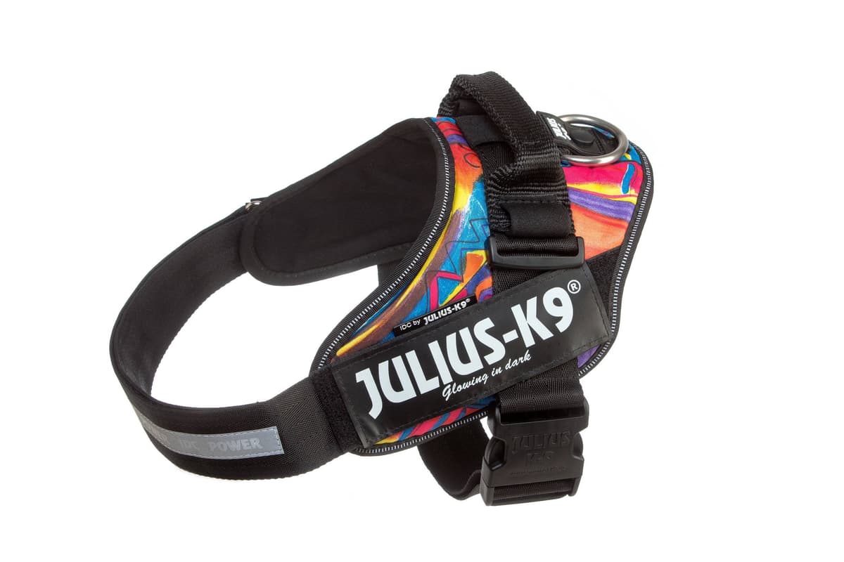 Julius-K9, 16IDC-AM-M, IDC Powerharness, dog harness, Size: Mini, Aquamarine — view 361
