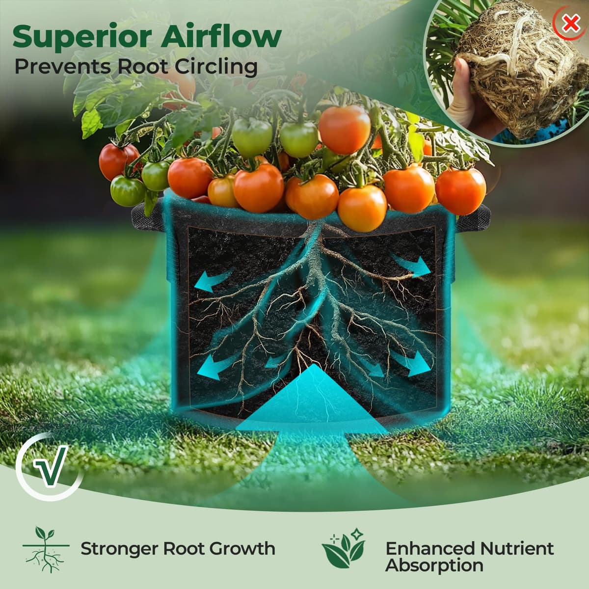 T4U Grow Bags with Handles, 10 Gallon 10 Pack Fabric Grow Bags for Vegetables, Breathable Fabric Pots for UK Gardeners Growing Tomatoes, Potatoes & Courgettes in Patios, Small Gardens or Allotments — view 5