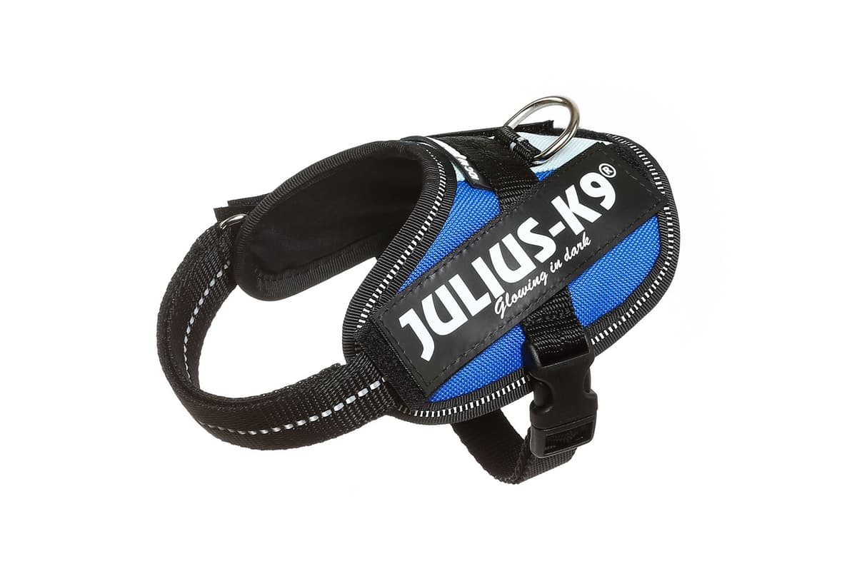 Julius-K9, 16IDC-AM-M, IDC Powerharness, dog harness, Size: Mini, Aquamarine — view 227
