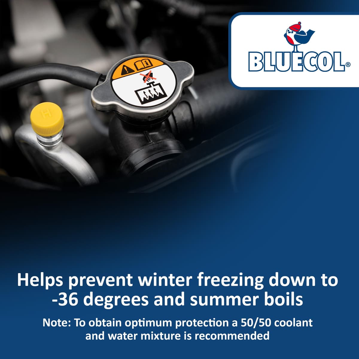 Bluecol Universal Antifreeze, 1 L — view 4