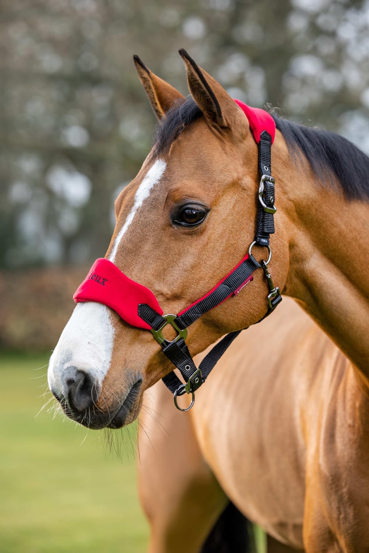 LeMieux Vogue Fleece Headcollar with Lead Rope - Extra Padding, Adjustable at Curb and Poll Strap — view 2
