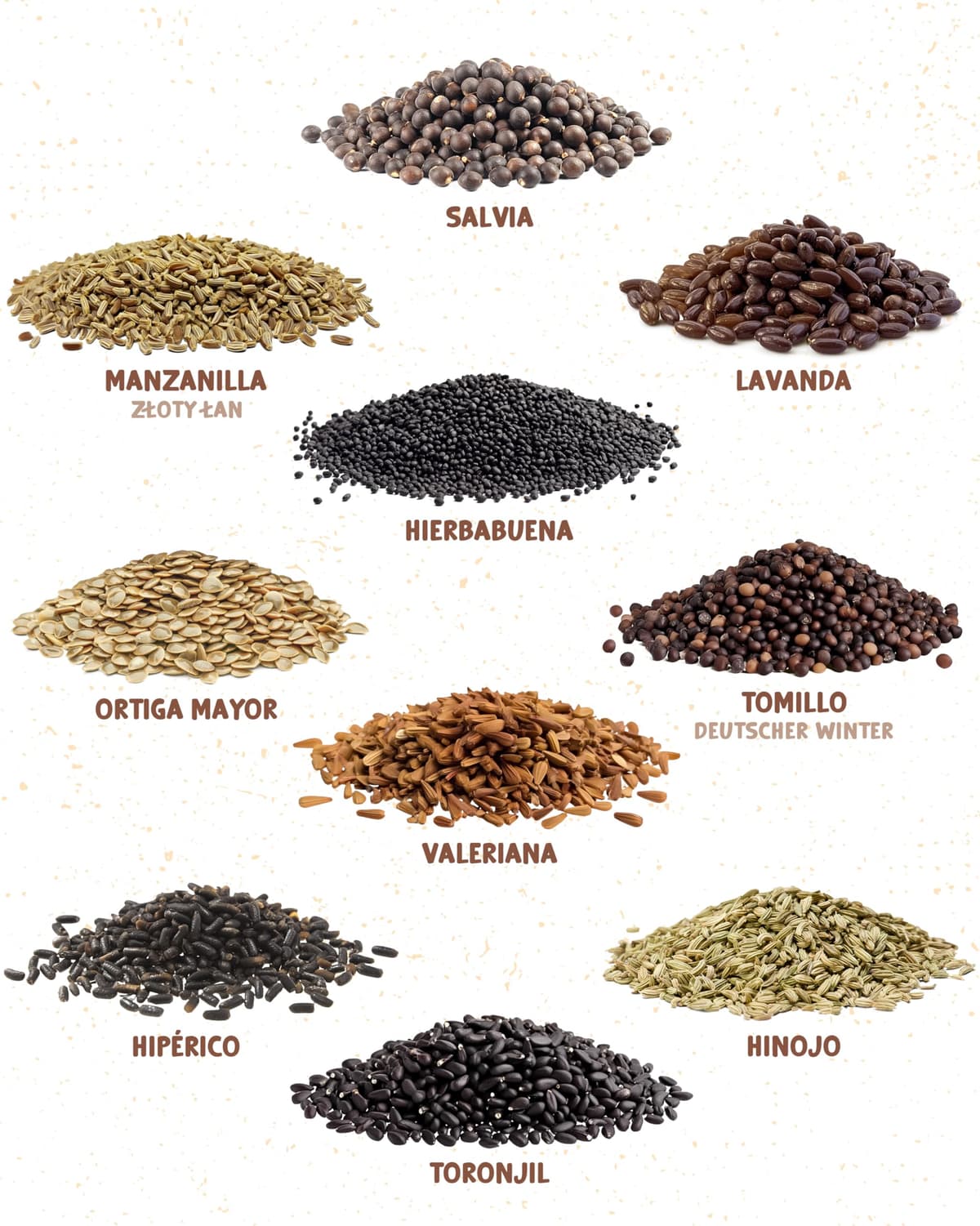 ZenGreens® - Set de semillas de hierbas medicinales y para infusiones eco - 10 variedades para cultivar fácilmente en el jardín, balcón o parterre elevado - Sementes verduras — view 7