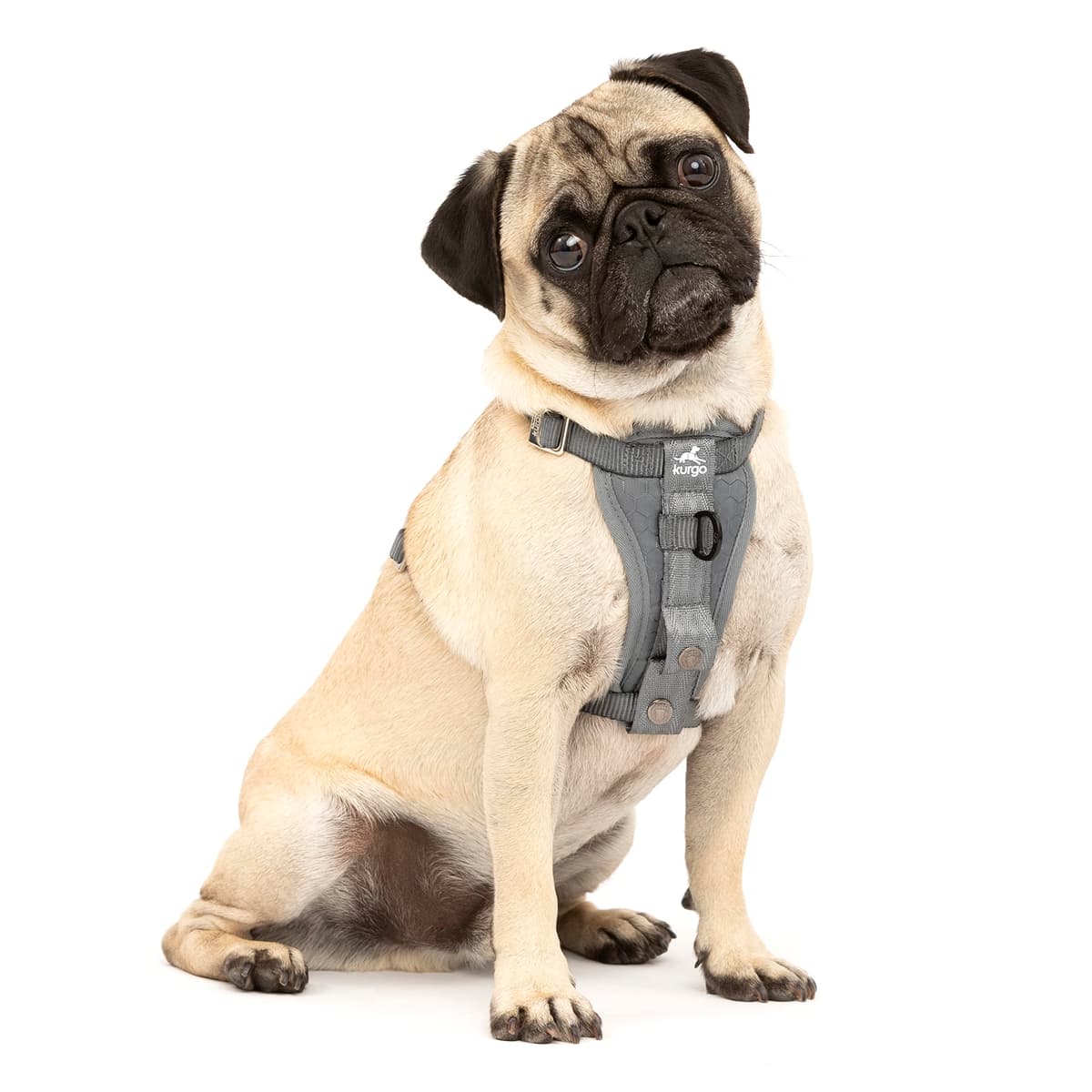 Kurgo Tru-Fit Smart Dog Walking Harness - Comfortable Fit - Adjustable Harness - Reflective Pet Wear - Quick Strap Release - Daily Walk Accessory - Includes Seat Belt Loop - Black - Medium — view 17