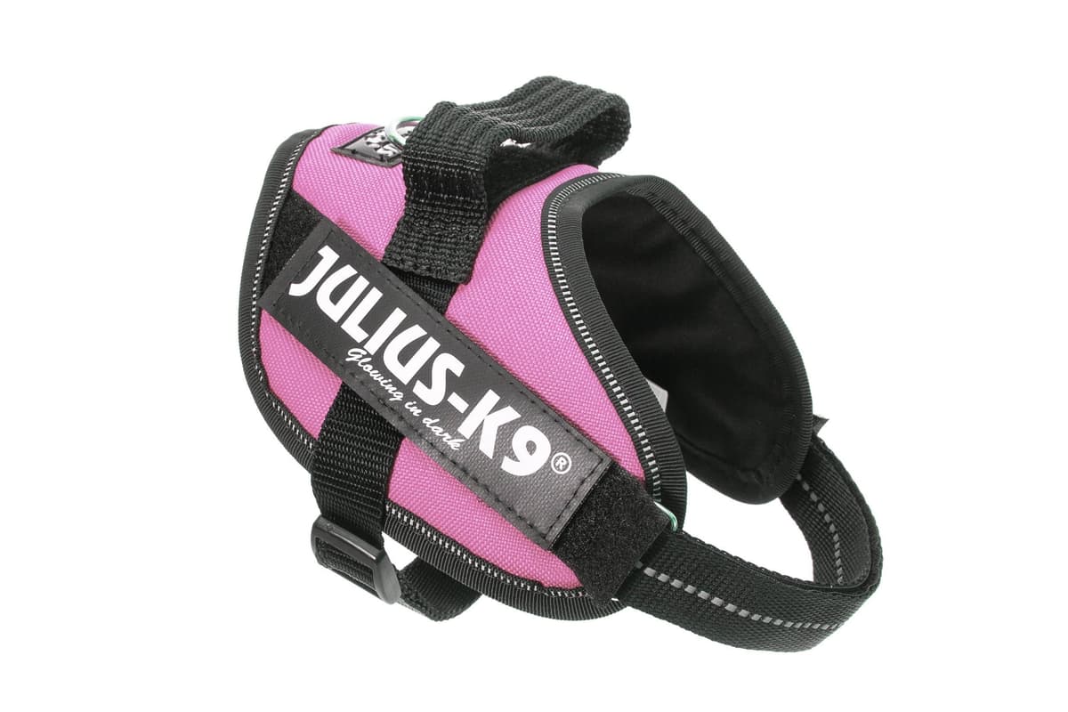 Julius-K9, 16IDC-AM-M, IDC Powerharness, dog harness, Size: Mini, Aquamarine — view 35