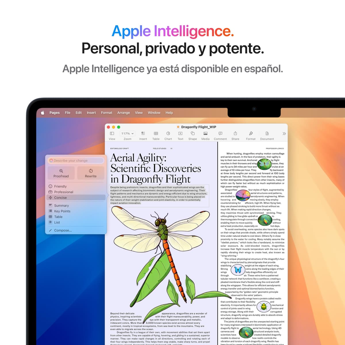 Apple 2025 MacBook Air de 13 Pulgadas con Chip M4: diseñado para Apple Intelligence, Pantalla Liquid Retina de 13,6 Pulgadas, 16 GB de Memoria unificada, 256 GB SSD, Teclado español; Azul Cielo — view 4
