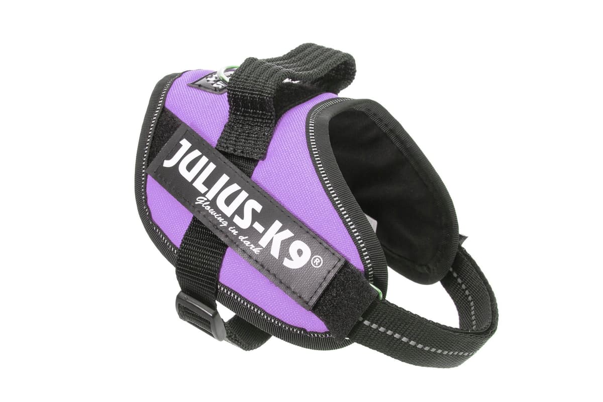 Julius-K9, 16IDC-AM-M, IDC Powerharness, dog harness, Size: Mini, Aquamarine — view 111