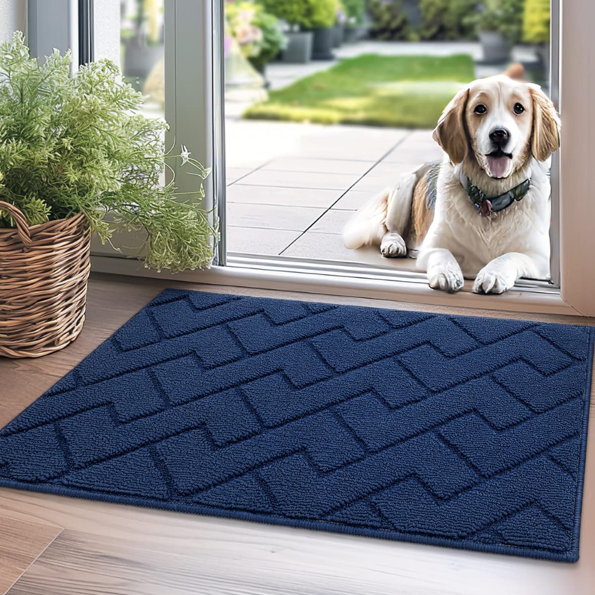 Biscpro Door Mats Indoor,Dirt Trapper Mat Absorbent Non-Slip Low Profile Doormat for Entrance,Inside, Kitchen,Front Door Mat Washable for Pets and Dogs— 50x80cm,Grey — view 81