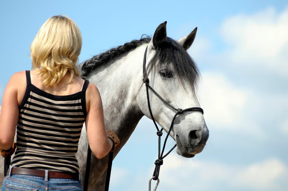 Parelli Training Natural Rope Headcollar in 11 Sizes - Miniature Foal Shetland Weaning Pony Cob Arabian Full Horse Extra Full and Draft — view 3
