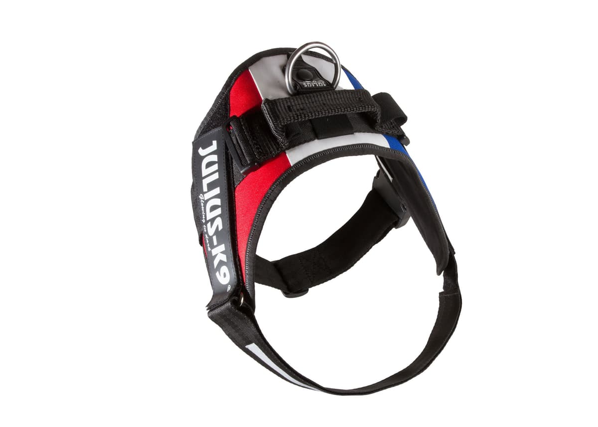 Julius-K9, 16IDC-AM-M, IDC Powerharness, dog harness, Size: Mini, Aquamarine — view 142
