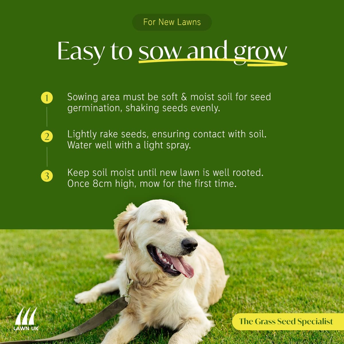 Lawn UK Hardwearing Grass Seed - Sprogs & Dogs Grass Seeds Fast Growing - 1kg up to 30sqm Coverage - Ideal for Family Lawns - Super Durable Perfect for Children & Pets — view 5