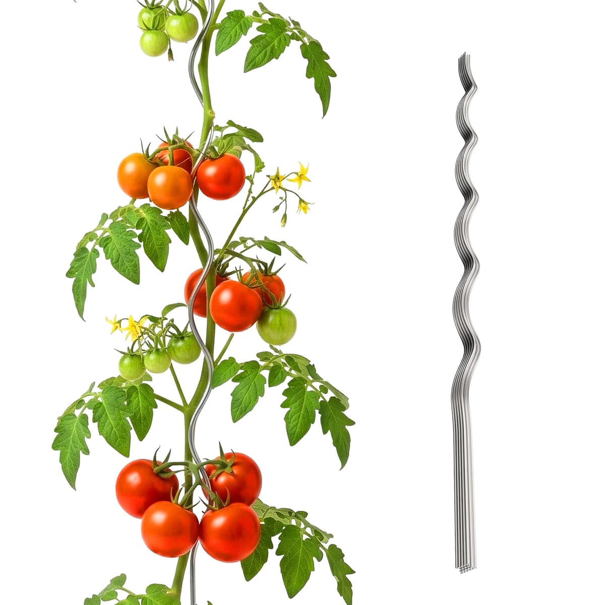 Relaxdays Varillas espirales para Tomates, Set de 20, Acero galvanizado, 150 cm, Ø5 mm, Soporte Plateado