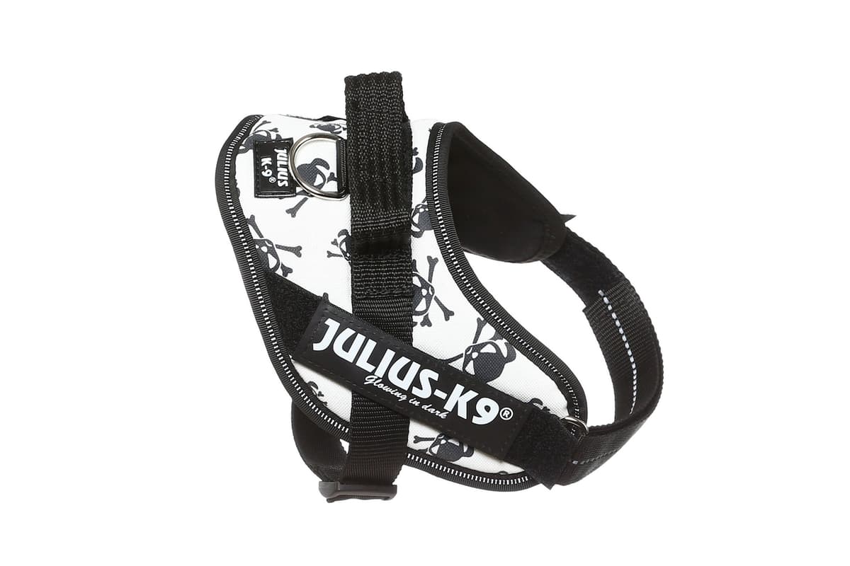 Julius-K9, 16IDC-AM-M, IDC Powerharness, dog harness, Size: Mini, Aquamarine — view 157