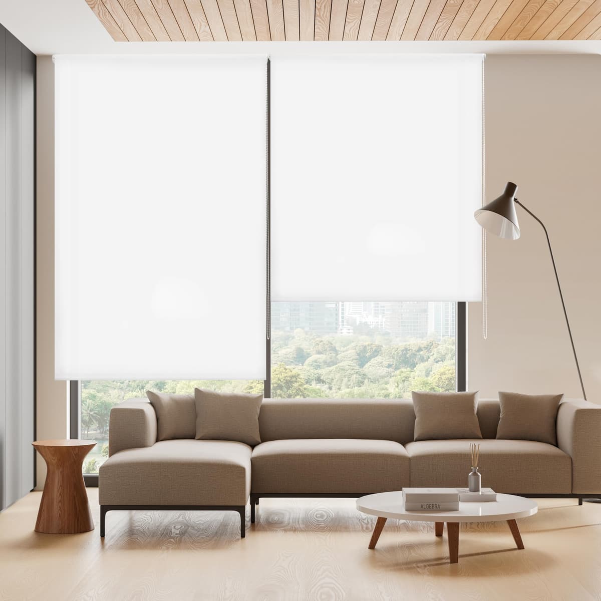Blindecor Ara | Estor enrollable translúcido liso - Blanco Roto, 160 x 175 cm (ancho por alto) | Tamaño de la Tela 157 x 170 cm | Estores para ventanas — view 16