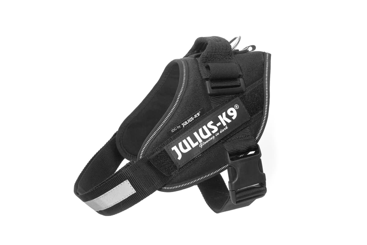 Julius-K9, 16IDC-AM-M, IDC Powerharness, dog harness, Size: Mini, Aquamarine — view 431
