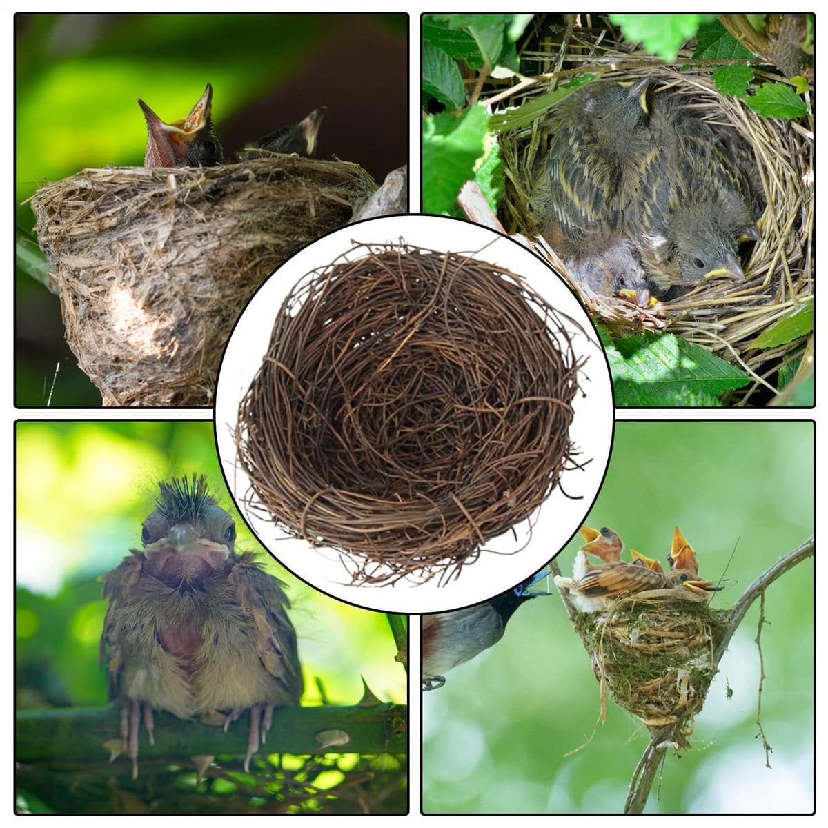 Nido de pájaros – Nido de loro tejido hecho a mano | Base plana para animales pequeños para jardín, accesorios de jaula de pájaros para hábitat, cabaña de césped natural para pinza, periquito, canario — view 5