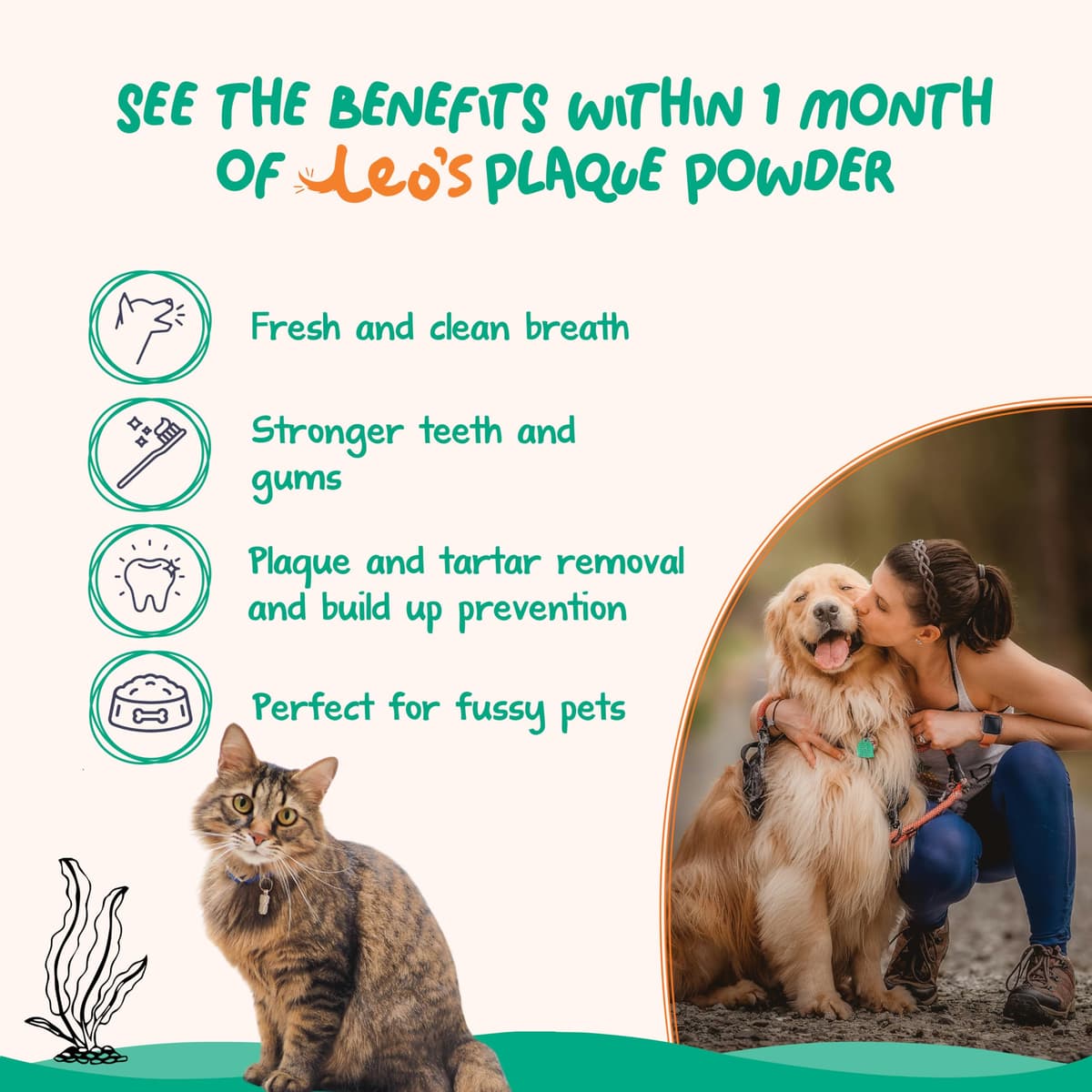 Leo's Plaque Off Powder For Dogs & Cats | 200g | Pet Teeth Cleaning | Cat & Dog Breath Freshener Food Topper | 100% Natural | No Dog Toothbrush or Dog Toothpaste | Plaque Remover For Dogs & Cats — view 4