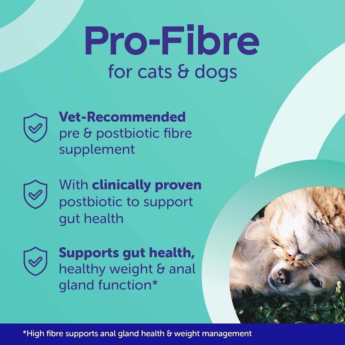 Protexin Pro-Fibre for Dogs – High Digestive Supplement with Prebiotics & Postbiotics – Supports Gut Health, Digestion, Firm Stools & Anal Gland Function – Meat-Free Beef Flavour – 500g Pellets — view 3