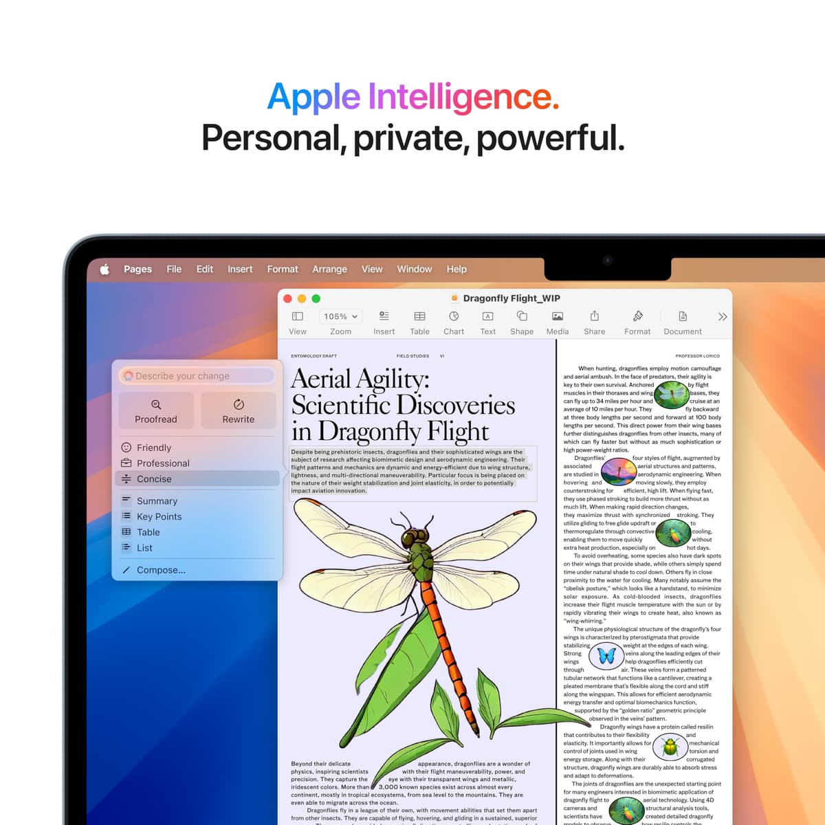 Apple 2025 MacBook Air 13-inch Laptop with M4 chip: Built for Apple Intelligence, 13.6-inch Liquid Retina Display, 16GB Unified Memory, 256GB SSD Storage, 12MP Center Stage Camera, Touch ID; Sky Blue — view 4