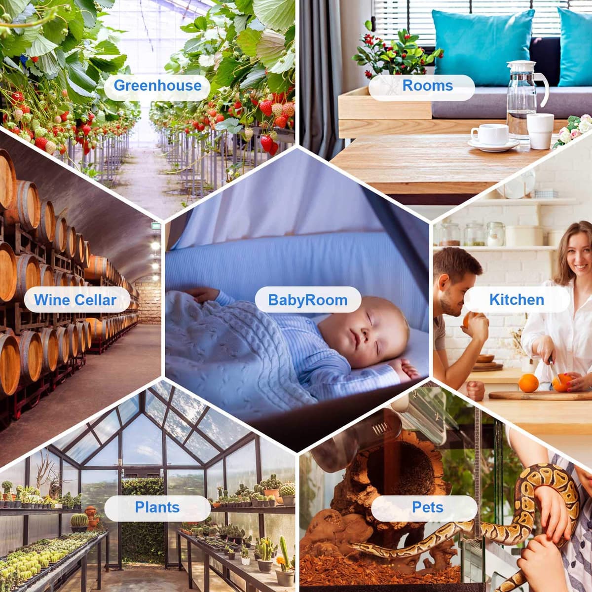 Inkbird IBS-TH2 Wireless Thermometer Bluetooth Temperature Sensor with Calibration Support Data Export and Alerts for Refrigerators Freezers Baby Room Greenhouse Brewing- Without Humidity — view 5