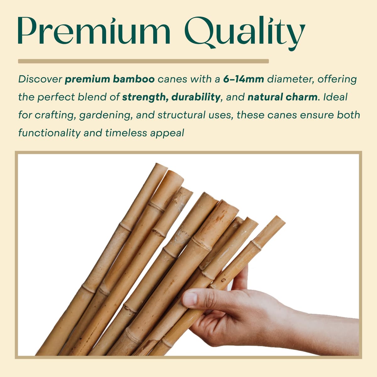 Gardens 2Ft,3Ft,4Ft,5Ft,6Ft,7Ft,8FT,10Ft Strong Heavy Duty Professional Bamboo Plant Support Garden Canes (10, 3ft, 12-14 mm) — view 3