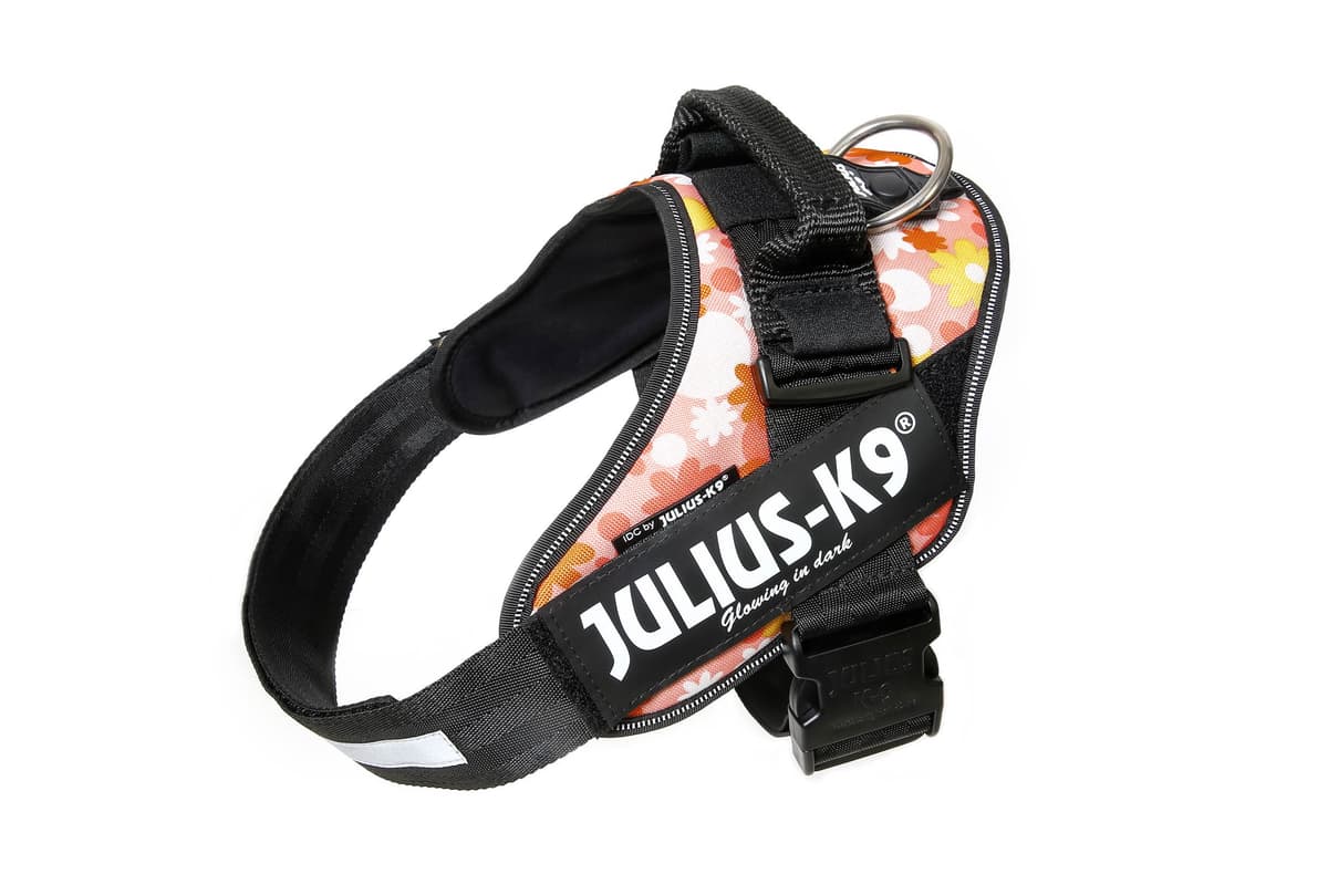 Julius-K9, 16IDC-AM-M, IDC Powerharness, dog harness, Size: Mini, Aquamarine — view 50