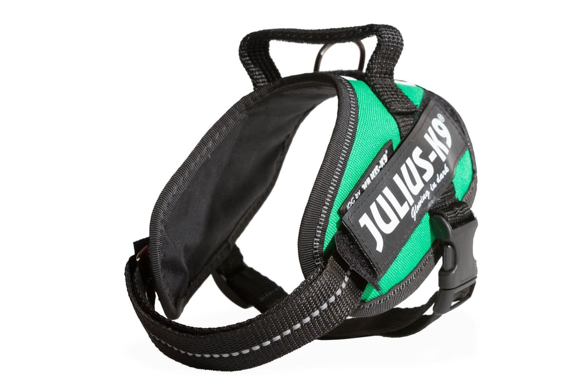 Julius-K9, 16IDC-AM-M, IDC Powerharness, dog harness, Size: Mini, Aquamarine — view 55