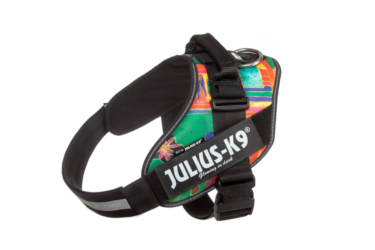 Julius-K9, 16IDC-AM-M, IDC Powerharness, dog harness, Size: Mini, Aquamarine — view 372