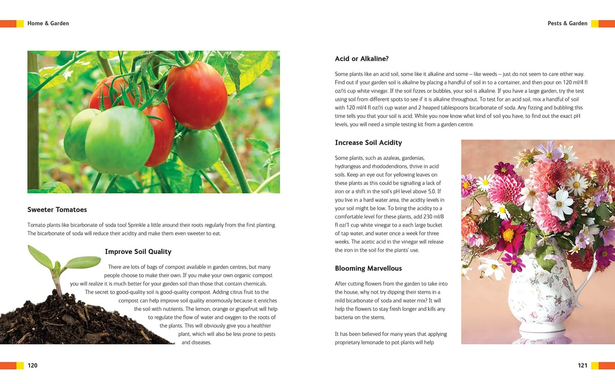 Household Hints, Naturally: Garden, Beauty, Health, Cooking, Laundry, Cleaning (Complete Practical Handbook) — view 3