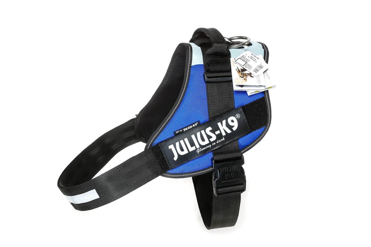 Julius-K9, 16IDC-AM-M, IDC Powerharness, dog harness, Size: Mini, Aquamarine — view 179