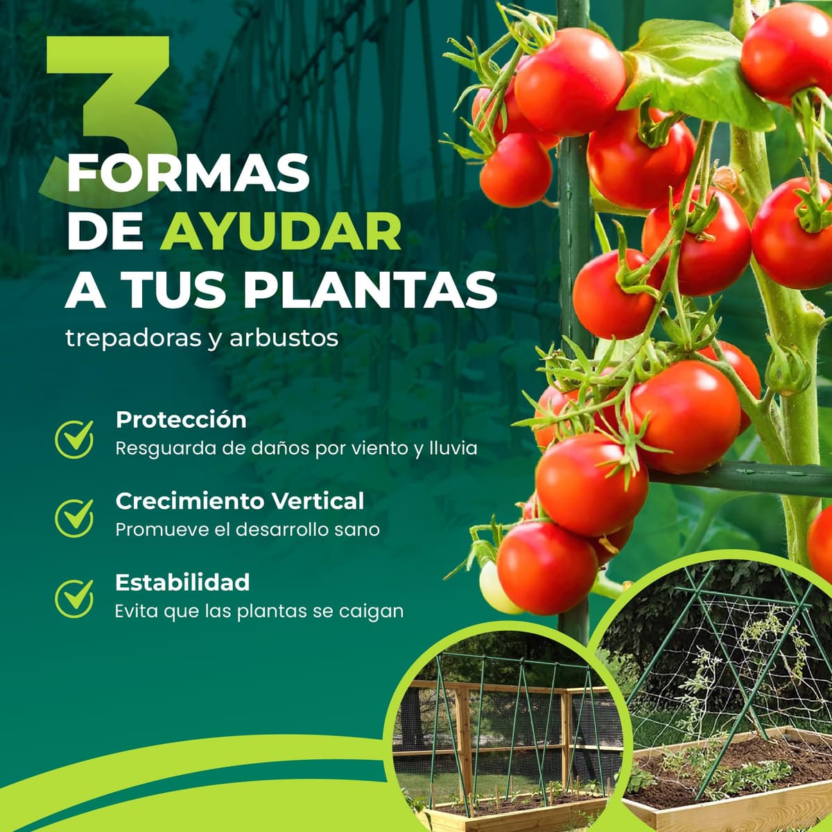 CONTROL GARDEN Pack 30 Tutores de Acero Plastificado para Plantas Alto 180 cm Ø 10 mm | Varillas Crecimiento Plantas | Soporte Cultivos Apto Interior y Exterior — view 2