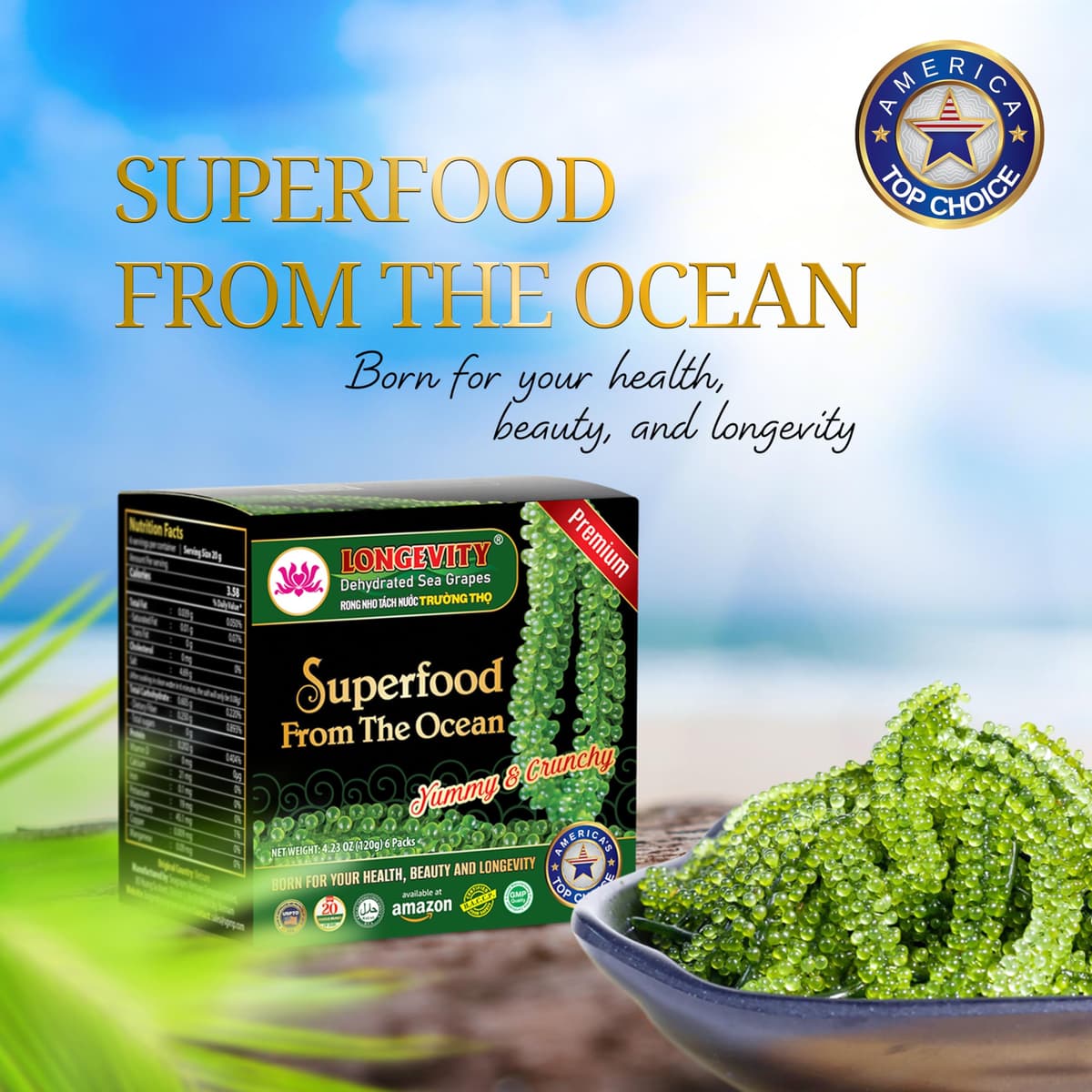 Longevity Uvas de mar - Umibudo verde Caviar -Dehydrated, pérdida de peso, impulsar el sistema inmunológico, valorado Regalo De Mar, 8.5 onzas de 12 paquetes (original, 240g) — view 3