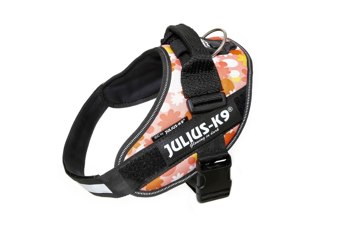 Julius-K9, 16IDC-AM-M, IDC Powerharness, dog harness, Size: Mini, Aquamarine — view 49