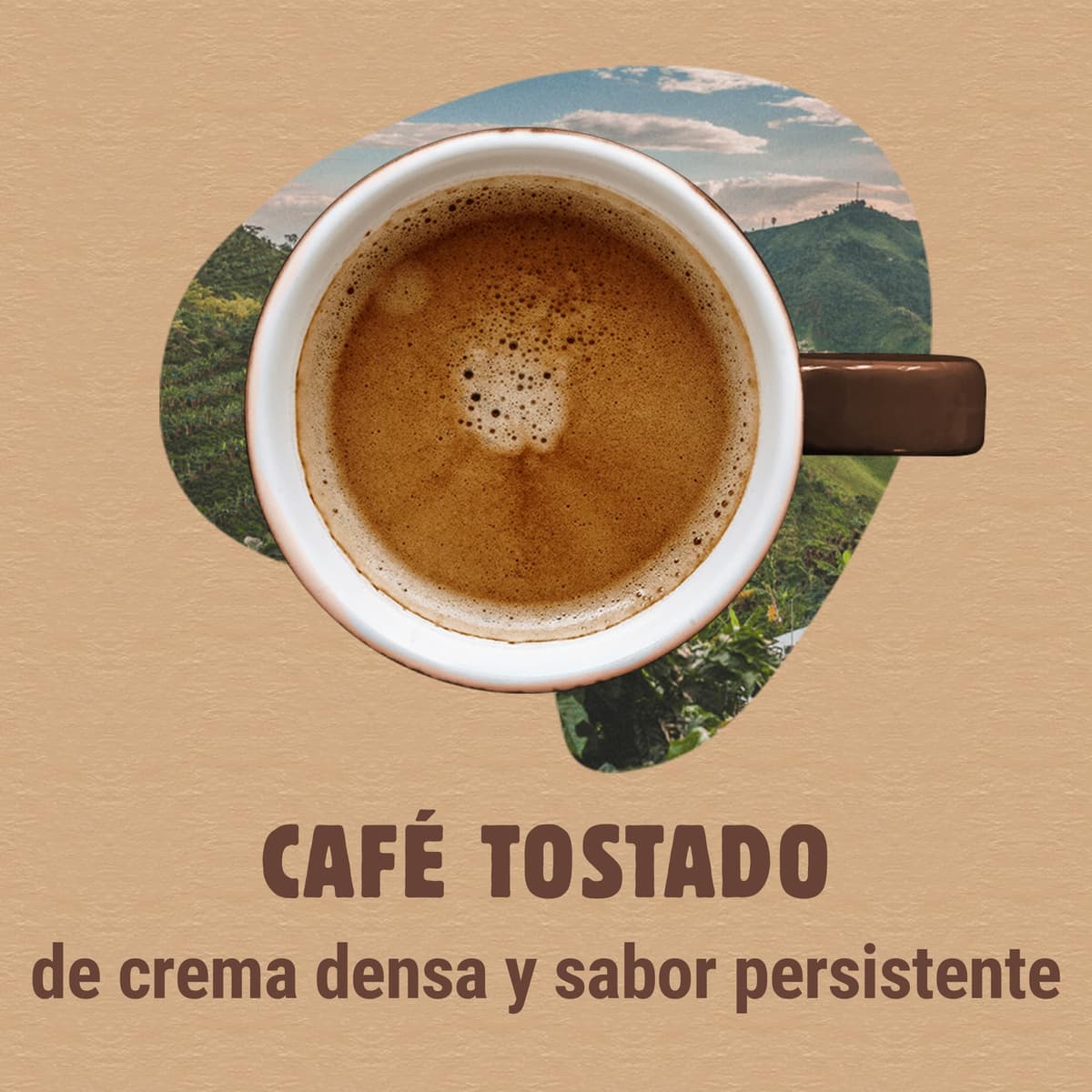 Bonka cafe en grano tostado natural para hostelería, Ideal para maquina de cafe Espresso - 1 paquete x 1 kg — view 5