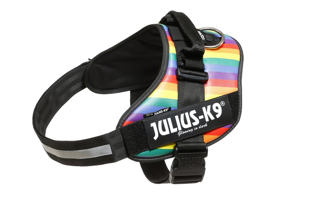 Julius-K9, 16IDC-AM-M, IDC Powerharness, dog harness, Size: Mini, Aquamarine — view 248
