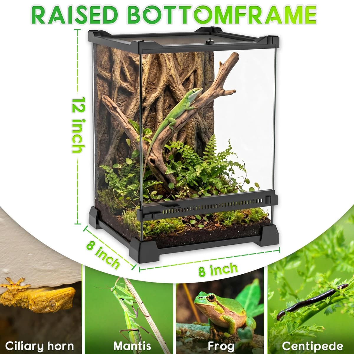 Mini Reptile Glass Terrarium 8"x8"x12" Durable Reptile Habitat Tank with Heat Resistant Aluminum Alloy Frame, Single Swinging Doors for no Jam by Sand and Other Debris — view 3
