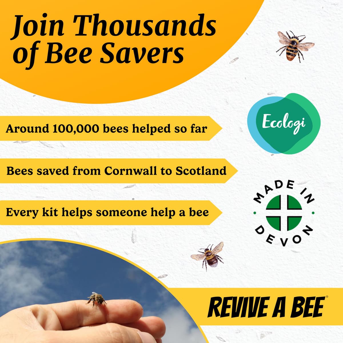 Bee Revival Kit for Saving Tired Bees – Bee Rescue Keyring Gift for Women – Eco-Friendly Plantable Seed Paper Packaging – Rose Gold, Green, Blue, Red, Black, Gold & Silver — view 9