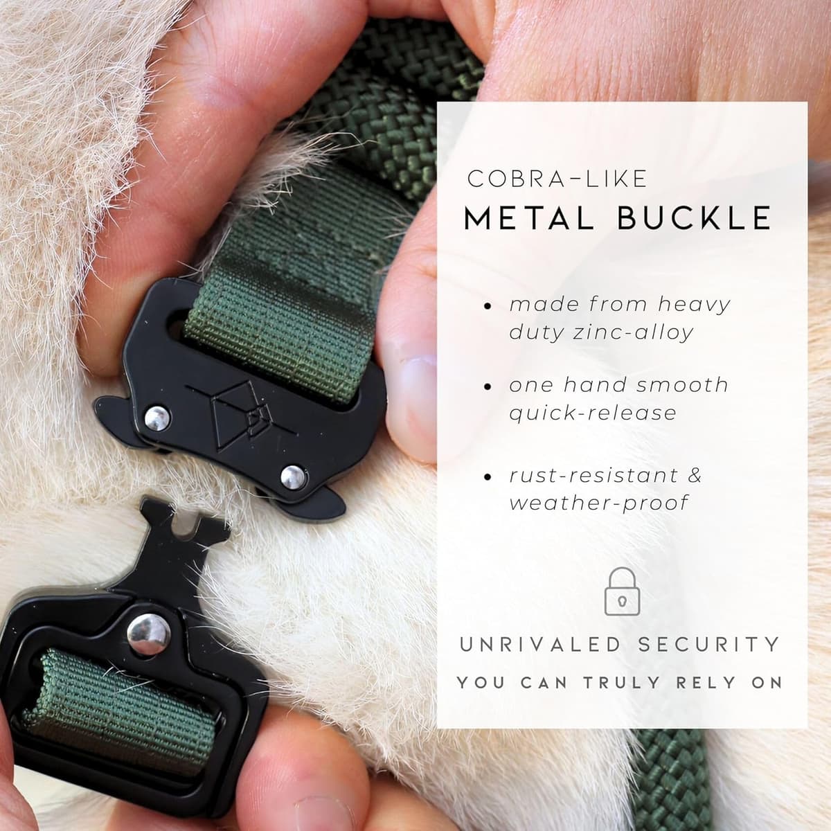 Made to ROAM Premium Dog Collar - Adjustable Heavy Duty Nylon Collar with Quick-Release Metal Buckle (Oregon Haze, Classic Size 4) — view 3