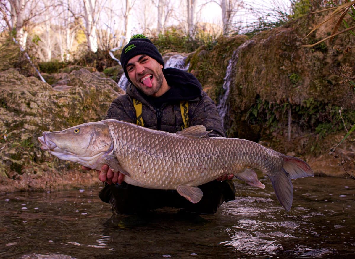 Pellets 8mm Spod Mix Pro Elite Baits | Carp Food | Pellets atrayentes Pesca de Peces Grandes |