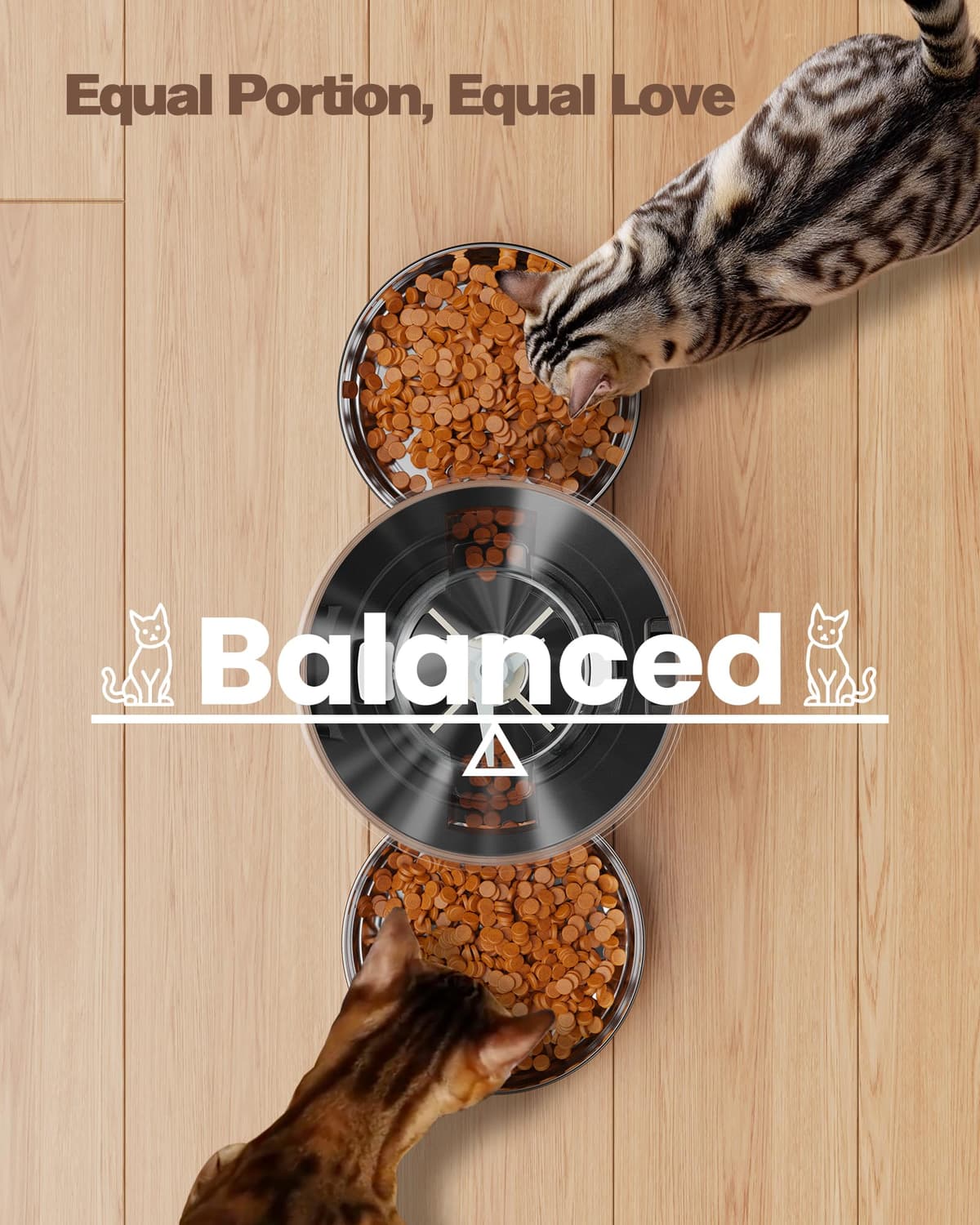 Automatic Cat Feeder Double Bowls: Stainless Steel Cat Food Dispenser – 5L Dog Feeder with Programmable Timer for Indoor – Food Dispenser for Small/Medium Pets — view 2